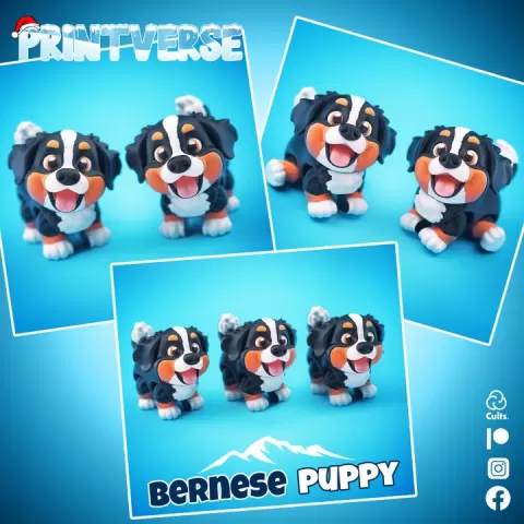 Flexy Bernese Mountain Dog Puppy Print In Place No Supports by Printverse