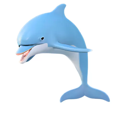 Happy Dolphin