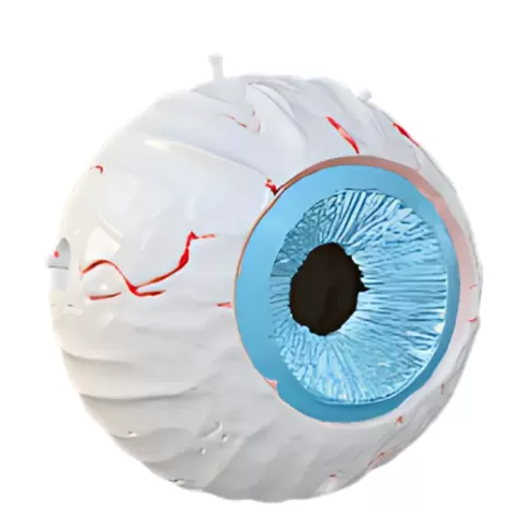 Realistic Eyeball