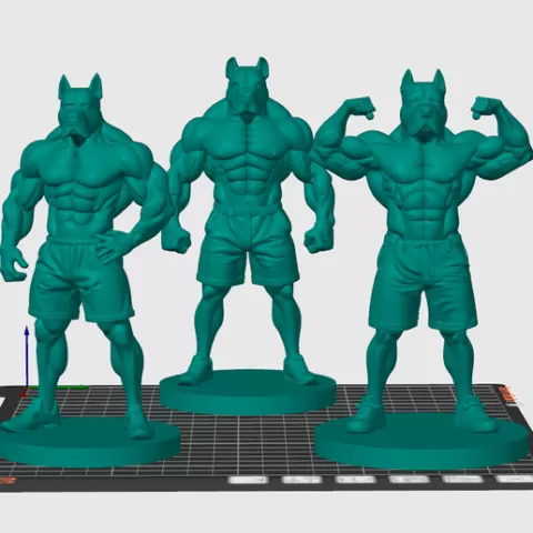 3 pitibull bodybuilder trophies