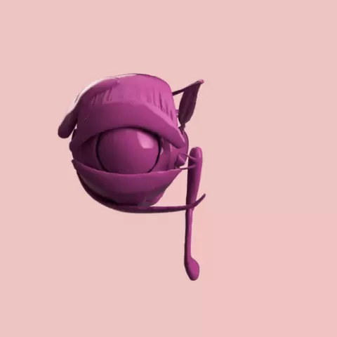 RIGHT EYE SEGMENTED 3D MODEL