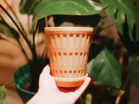 万神殿花盆|12cm