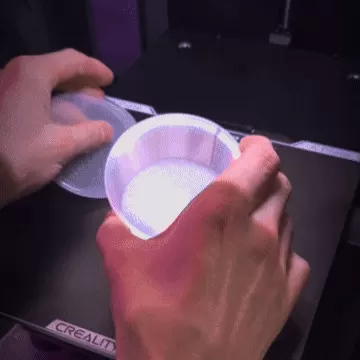Food Box