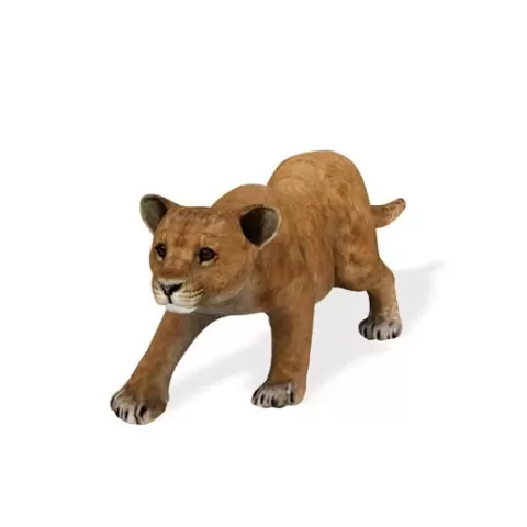 LION LION CUB CUP RIGGED FBX 3MF STL OBJ 3D PRINTING CAT MUSCLE DESERT FELINE ANIMAL PREDATOR RAPTOR JUNGLE AFRICA