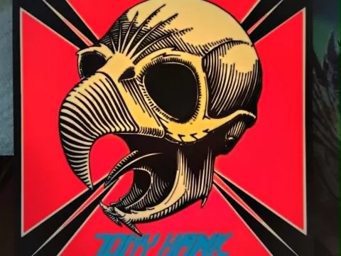 BIRDHOUSE Tony Hawk