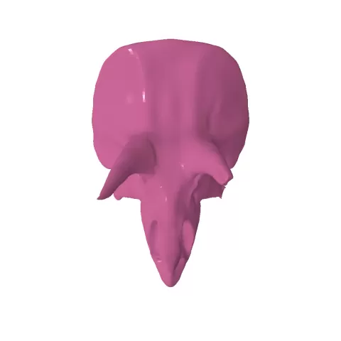 crane dino - bds