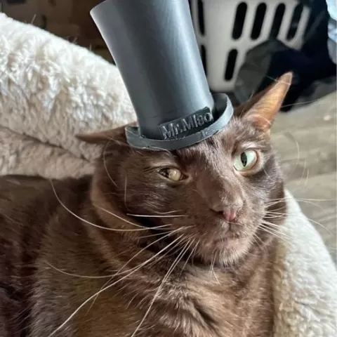 Top Hat