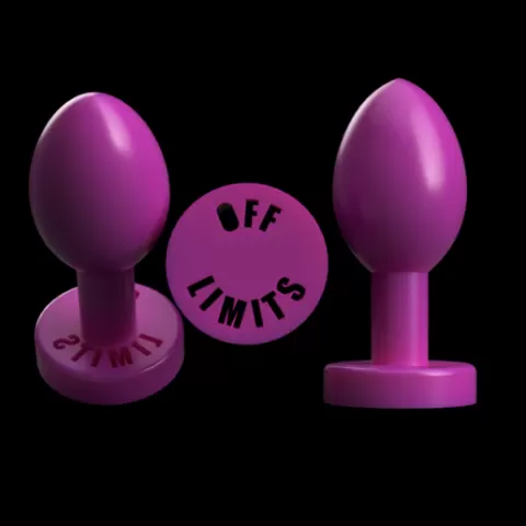 "Off Limits" Novelty Butt Plug