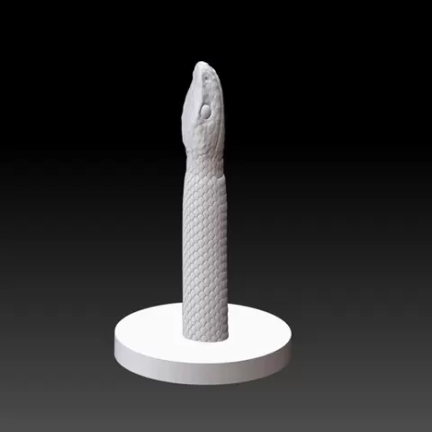 Dildo collection: 20 models!