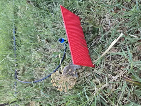Tiny Sprinkler Blocker