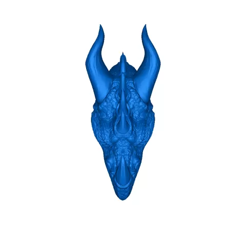 dragon head - Rayyan.