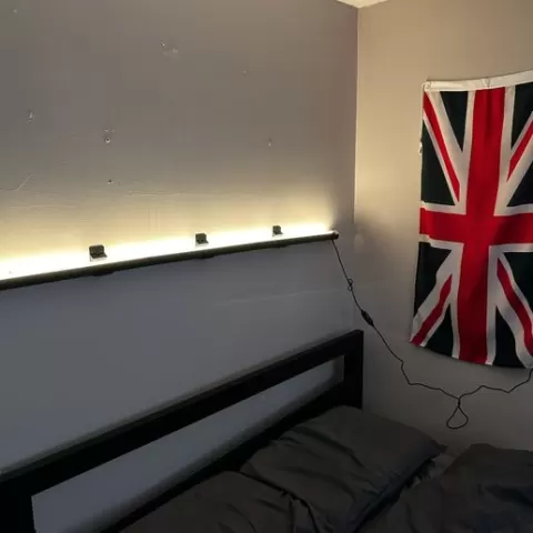Universal LED Light Wall Mount
