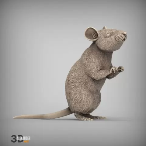 Mouse on hind legs 3D print model