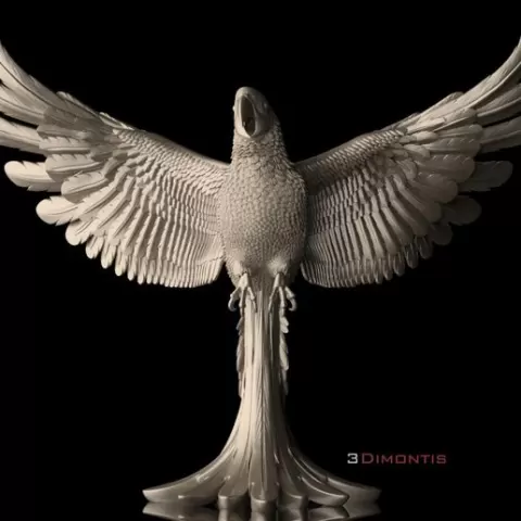 parrot