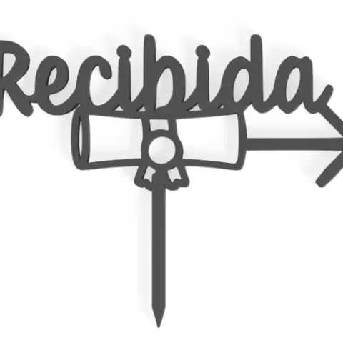 RECIBIDA 6 CAKE TOPPER