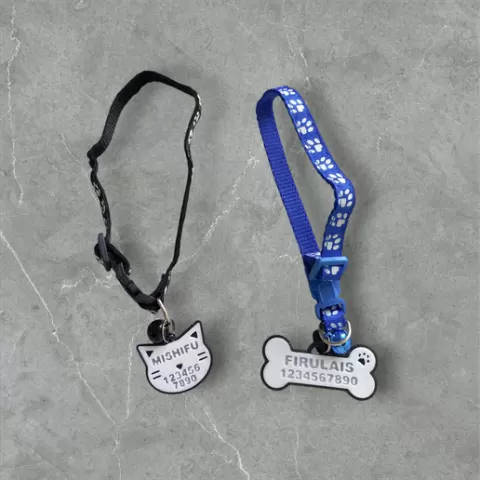 Dog and cat collar