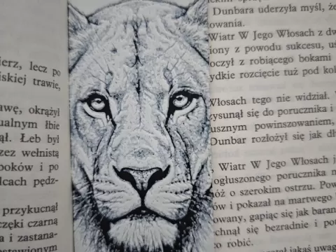 Lwica
