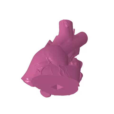 Heart Top