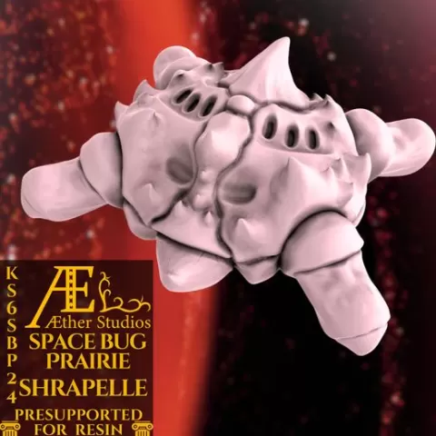 KS6SBP24 - Shrapelle