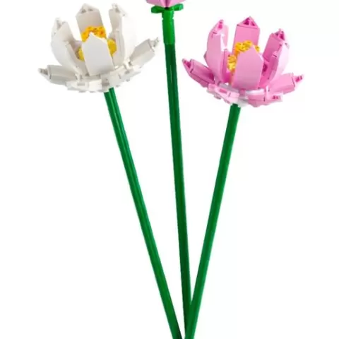 PixelBricks3D - Lotus Flowers 🌸💧✨