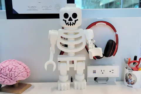r01-head