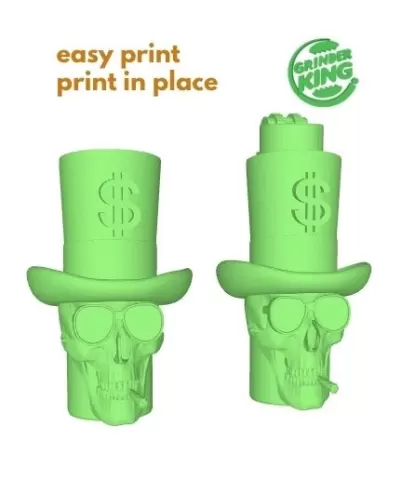 SKULL LIGHTER CASE