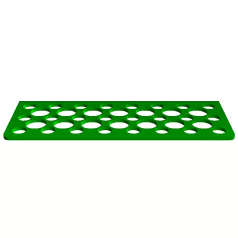Esponja - Alevin