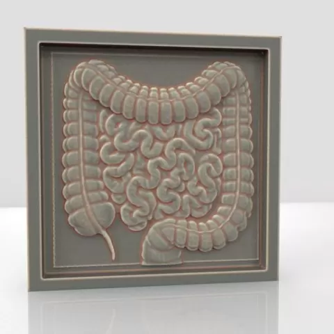 Bowel Bas Relief Decor