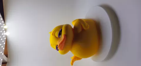 Sassy Duck