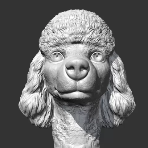 Poodle Head AM38 3D print model