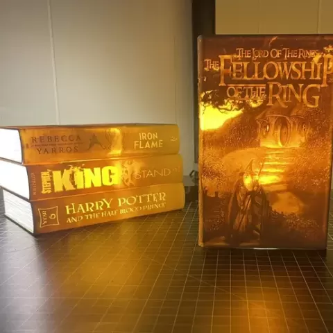 Lithophane Books (Lord of the Rings - Fellowship of The Ring)
