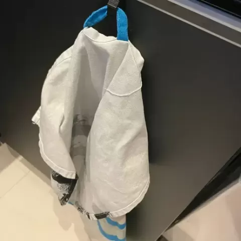 Towel Hook