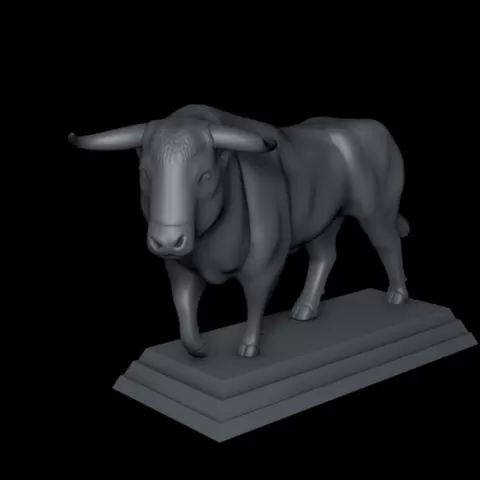 Toro bravo
