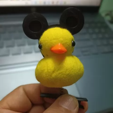 Mickey Ears (Duckling)