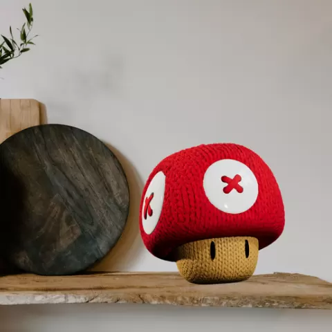 Mario Mushroom