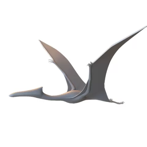 Flying Pterodactyl