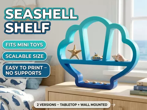 Seashell Display Shelf – 2 Versions