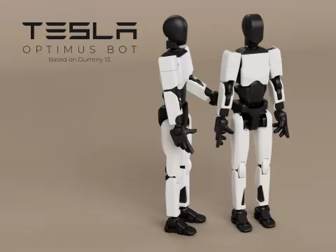 Tesla Optimus Bot 1.0 based on Dummy 13