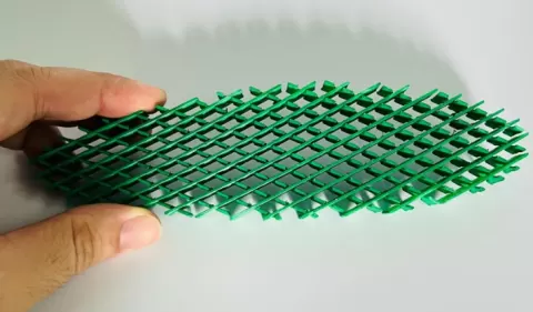 Fidget Morf Worm