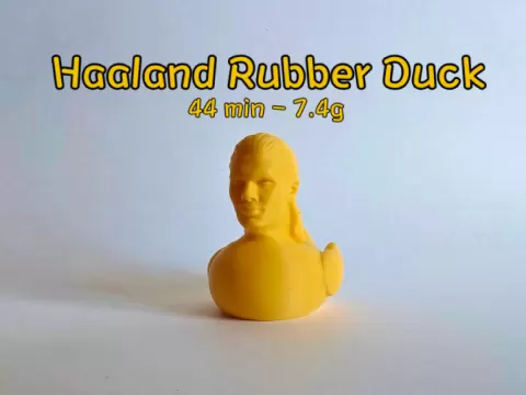 Haaland Rubber Duck