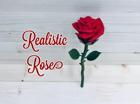 Realistic Rose
