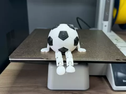 Ball Buddy
