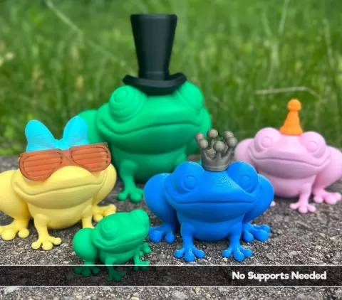 Ribbits the Simple Cute Frog