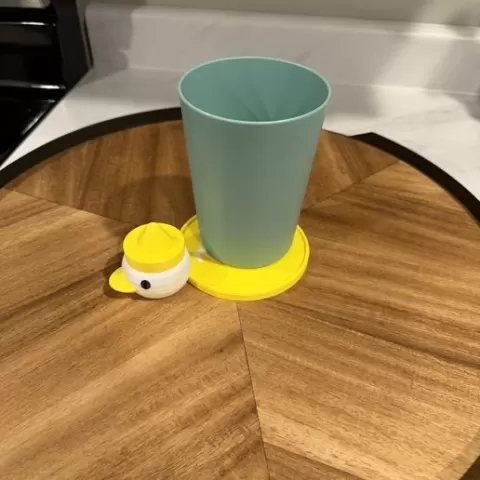Duck Coaster!