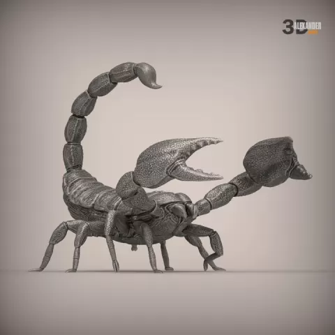 Emperor Scorpion by Alexander3dart