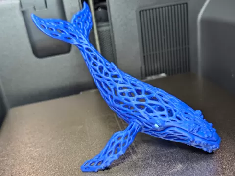 Voronoi Breaching Whale