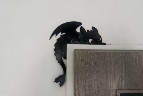 Night Fury Toothless door decor.
