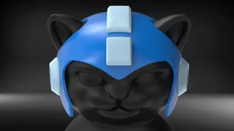 Cat Helmet 01