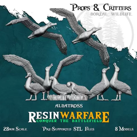 Albatross - Props&Critters: Animals of the World by ResinWarfare
