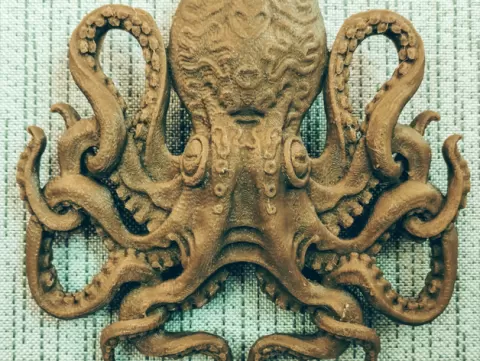 Octopus